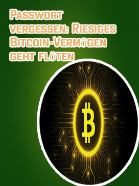 Bitcoin chefprogrammierer