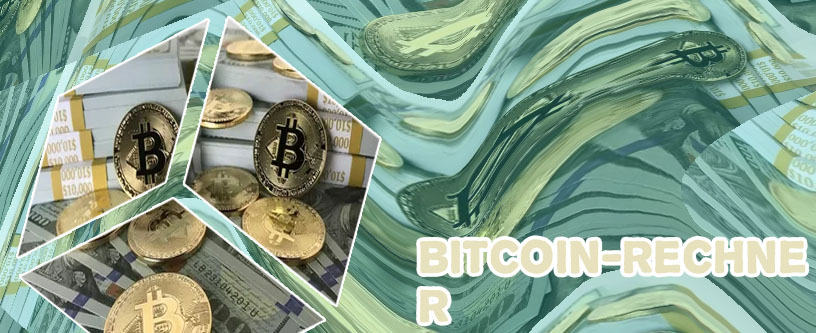Bitcoin rechner dollar