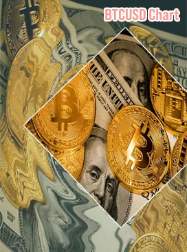 Btc dollar umrechner